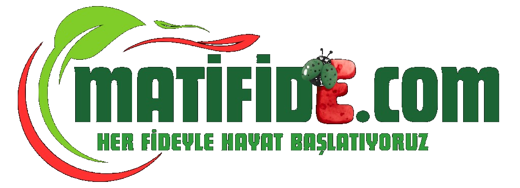 Matifide